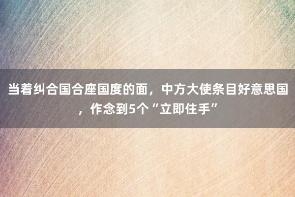 当着纠合国合座国度的面，中方大使条目好意思国，作念到5个“立即住手”