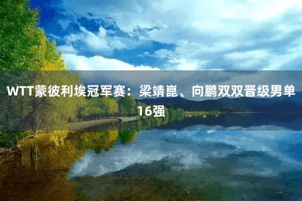 WTT蒙彼利埃冠军赛：梁靖崑、向鹏双双晋级男单16强